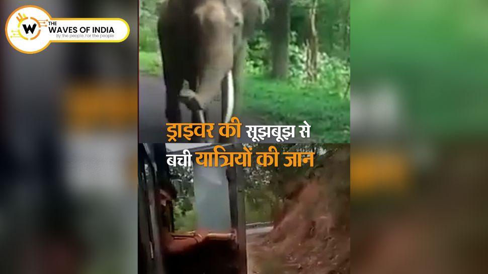 जंगली हाथी से बचने के लिए ड्राइवर ने 8 किमी तक रिवर्स गियर में दौड़ाई बस, 40 यात्रियों की बची जान; देखें Video