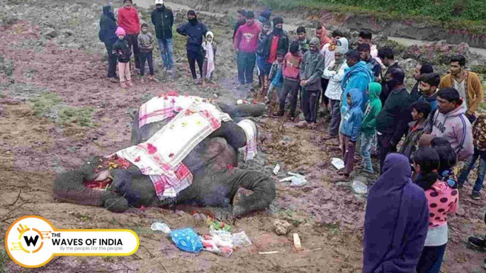 Assam: असम में तेज रफ्तार राजधानी एक्सप्रेस की चपेट में आए दो हाथी, दर्दनाक मौत